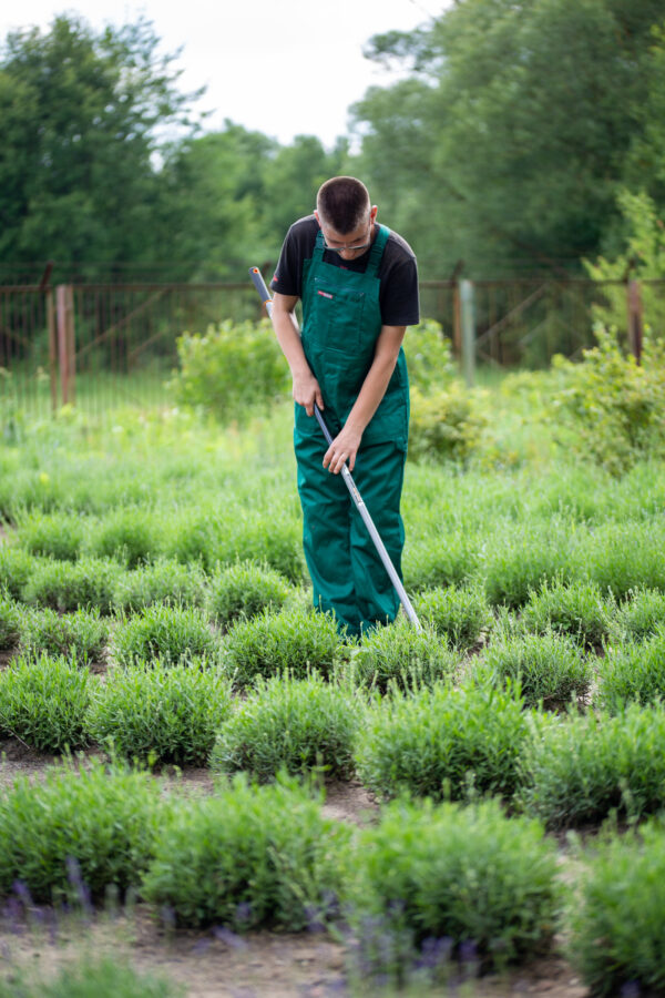 Woreczek z pietraszkową lawendą